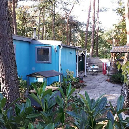 Boshuis Turquoise / Smaakvol Genieten Op De Veluwe Hoenderloo Exterior foto