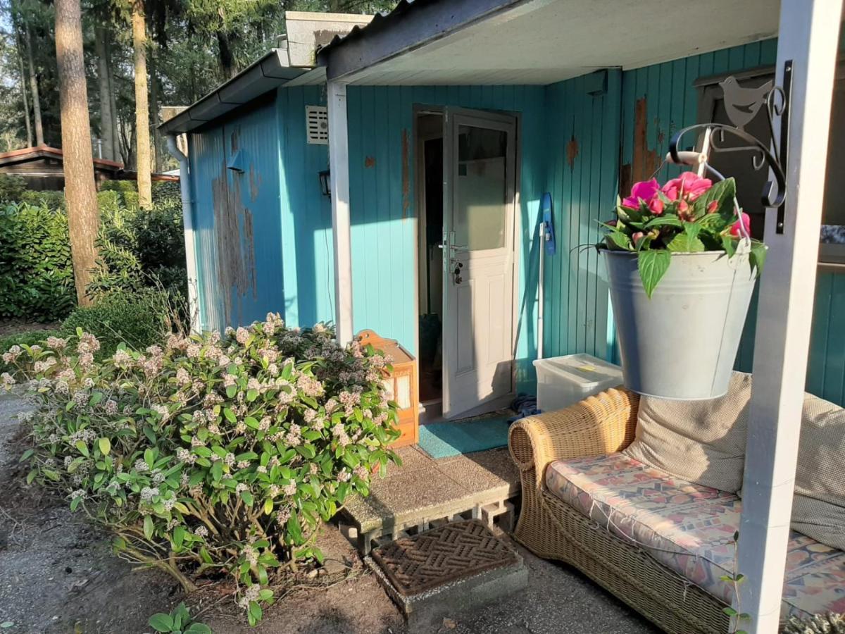 Boshuis Turquoise / Smaakvol Genieten Op De Veluwe Hoenderloo Exterior foto