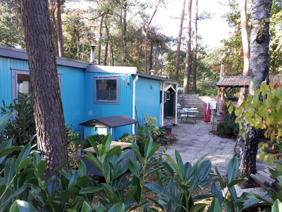 Boshuis Turquoise / Smaakvol Genieten Op De Veluwe Hoenderloo Exterior foto