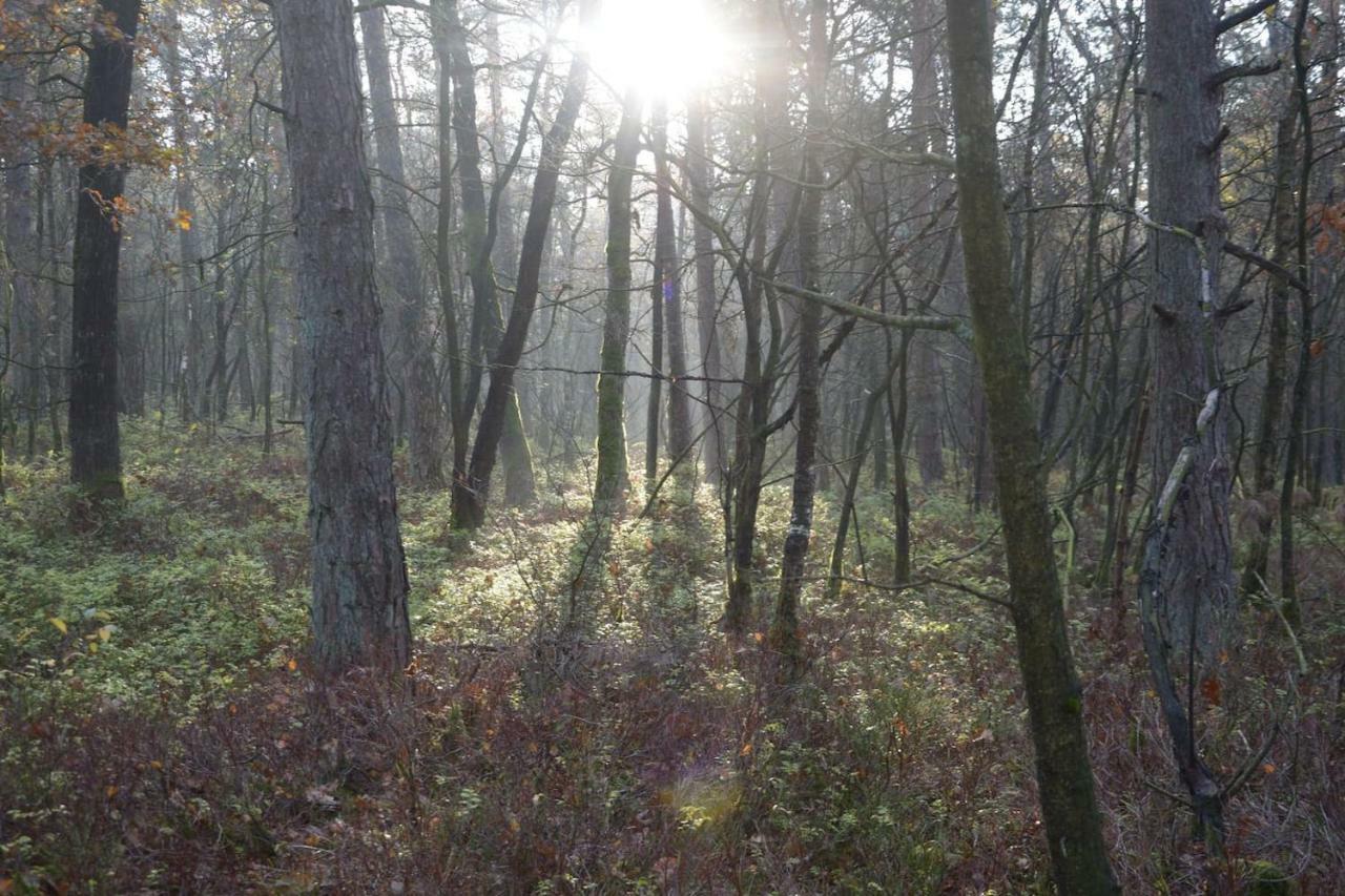 Boshuis Turquoise / Smaakvol Genieten Op De Veluwe Hoenderloo Exterior foto