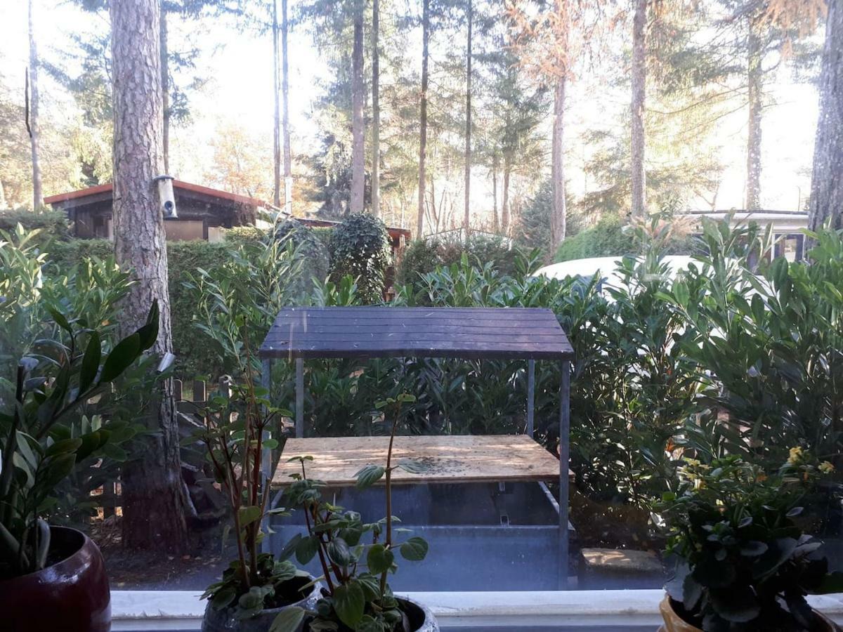 Boshuis Turquoise / Smaakvol Genieten Op De Veluwe Hoenderloo Exterior foto