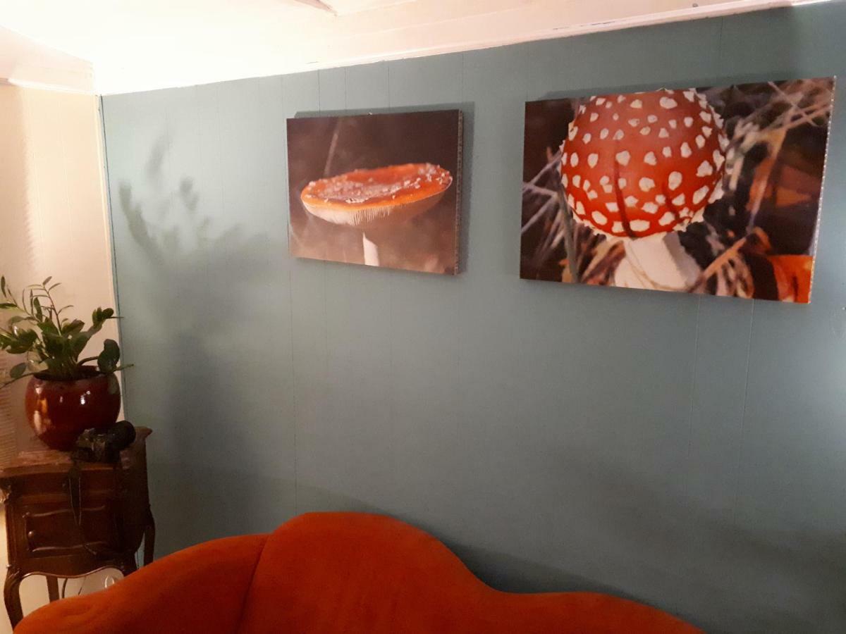 Boshuis Turquoise / Smaakvol Genieten Op De Veluwe Hoenderloo Exterior foto