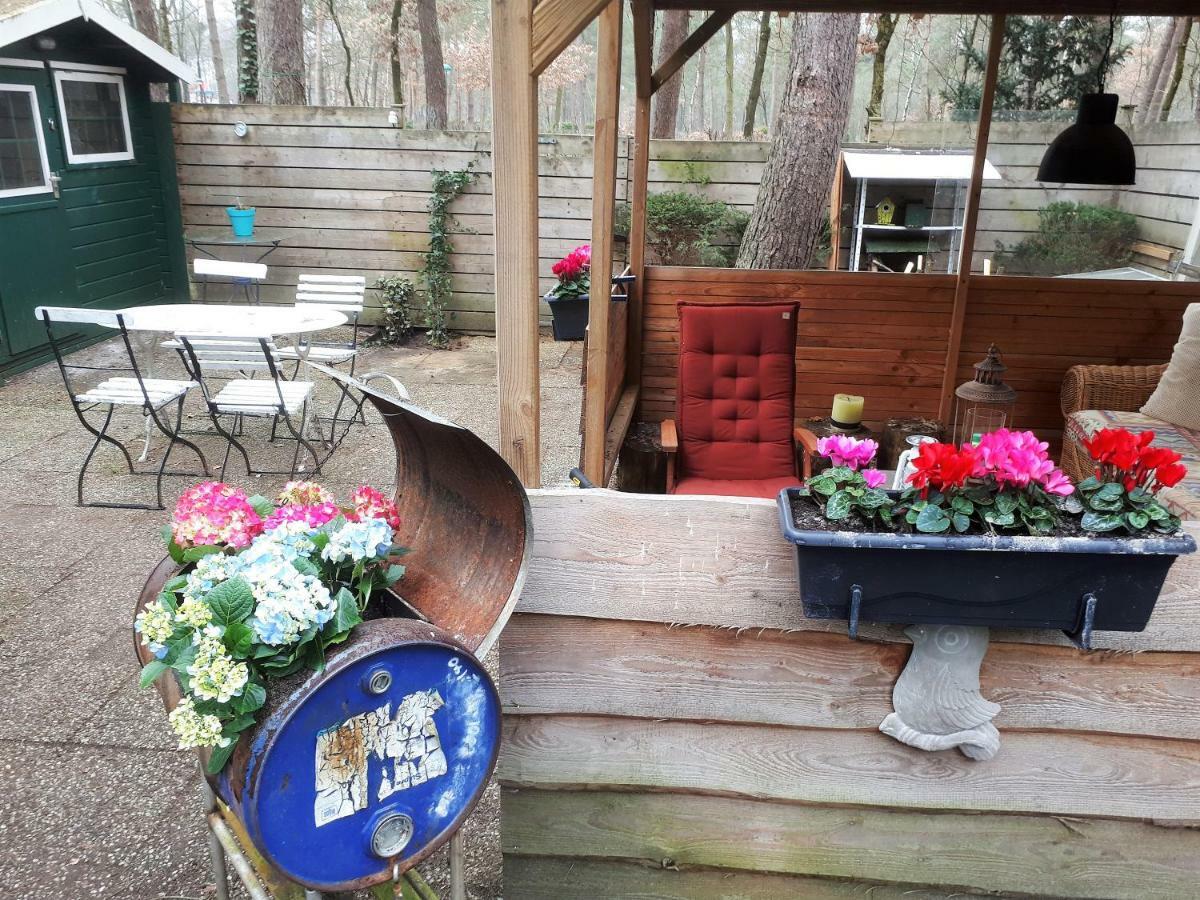 Boshuis Turquoise / Smaakvol Genieten Op De Veluwe Hoenderloo Exterior foto