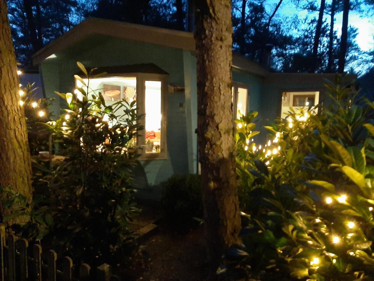 Boshuis Turquoise / Smaakvol Genieten Op De Veluwe Hoenderloo Exterior foto